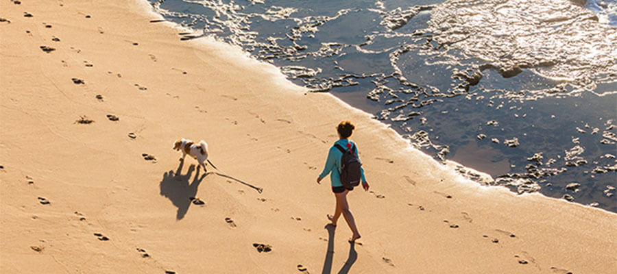 Chiropractic Neurology Enhancement Center